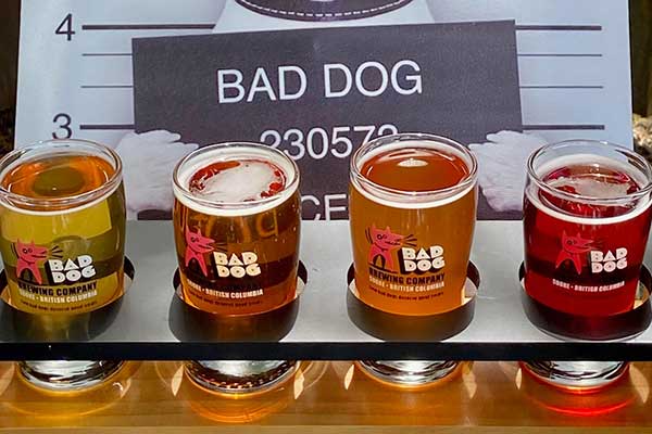 Bad Dog Brewery 6th Anniversary Celebration